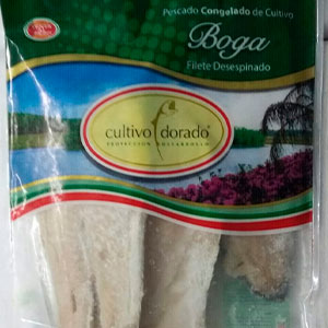 Boga filet desespinado